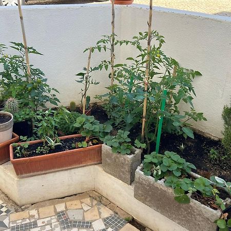 Greenth Avenue فارو المظهر الخارجي الصورة
